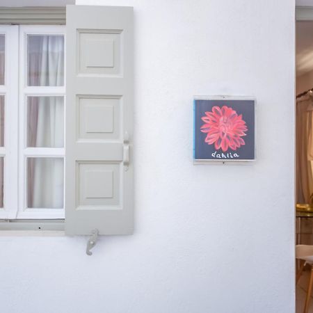 Sing And Blossom Accommodation Mykonos Town エクステリア 写真