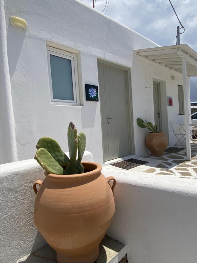 Sing And Blossom Accommodation Mykonos Town エクステリア 写真