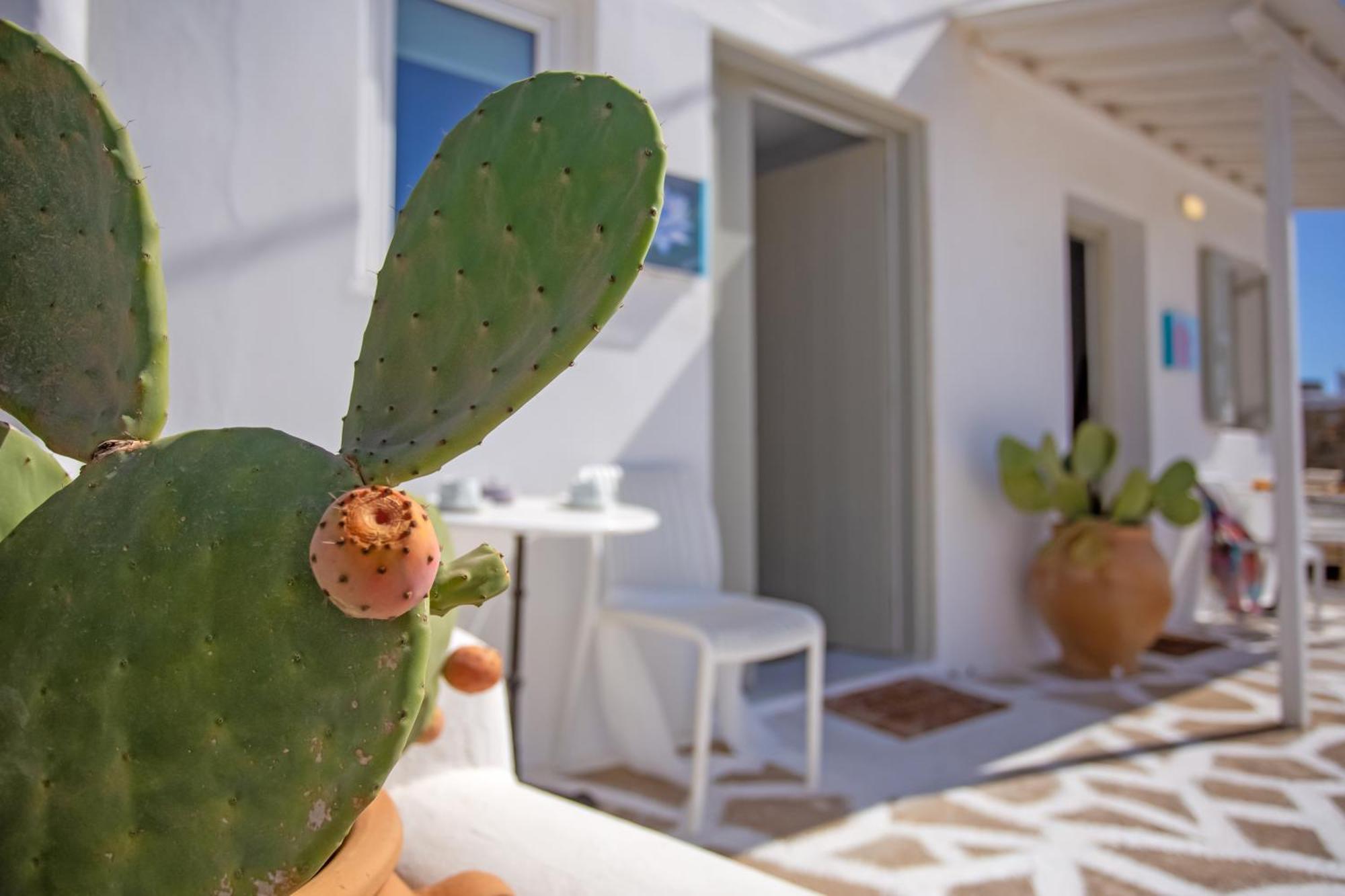 Sing And Blossom Accommodation Mykonos Town エクステリア 写真